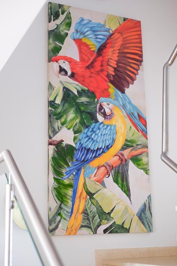 Amazing Views Casa Hummingbird Lagos Exterior foto